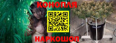 шишки Гусев